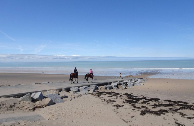 Spacious holiday home located in the heart of the bay of Mont St Michel.