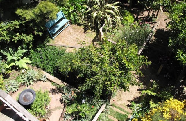 Spacious home. Stunning yard/decks. 3 bedrooms, including en suite. Near BART.