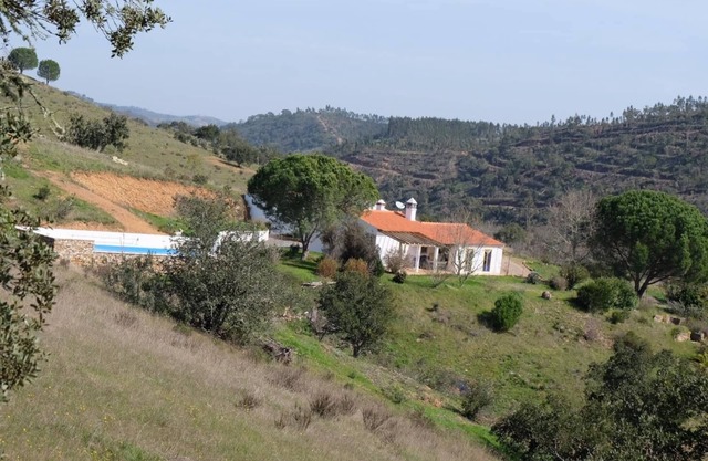 Spacious villa in beautiful surroundings