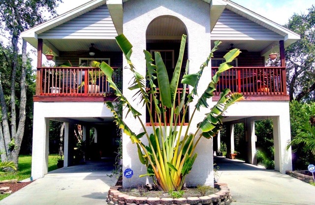 Sparkling Clean Tampa TreeHouse