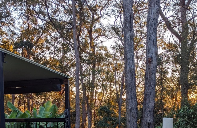 Springbrook Gold Coast Hinterland Hikers Cottage