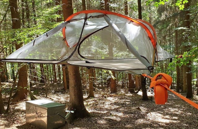 Spruce tree tent - Baumhaushotel Solling