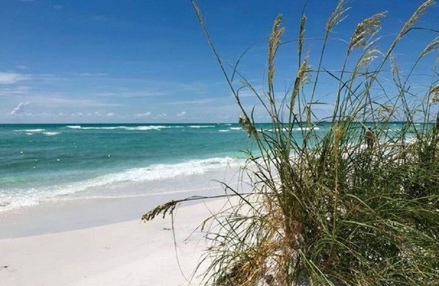 St Pete Dtwn+15 min to beach+ Large beautiful rental w/2 bikes to tour st pete!