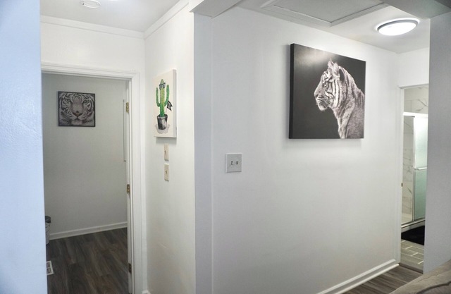 Stainless Steel Retreat in Downtown Athens