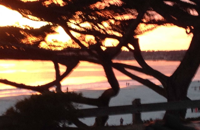 Steps To Carmel Beach, in the golden rectangle. The perfect location!