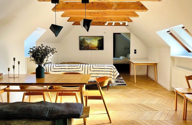 Steyr Old Town Loft
