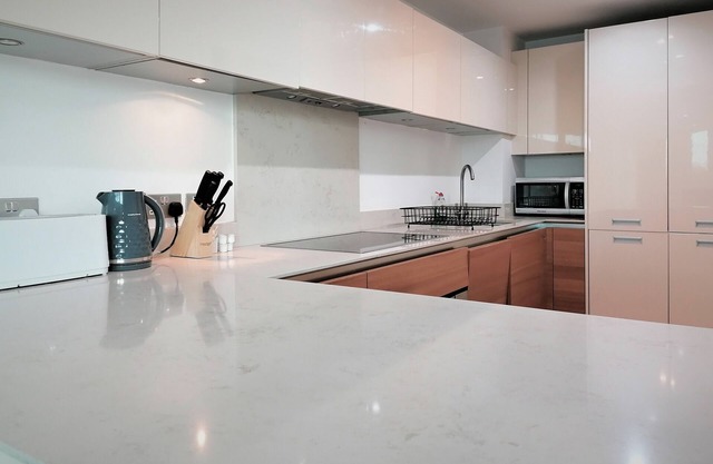 Still Life Vauxhall Deluxe Two Bedroom Apartment