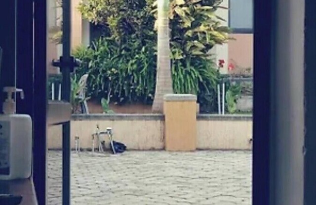 Stod Villas Namugongo Sonde Kampala E