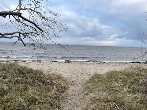 Strandperle 1