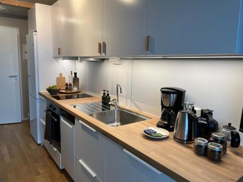 Studio apartment near Narvikfjell Gondola