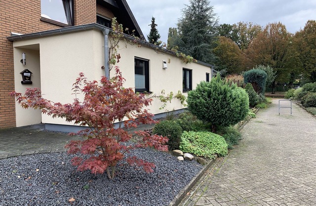 Studio at the Bentheim Forest