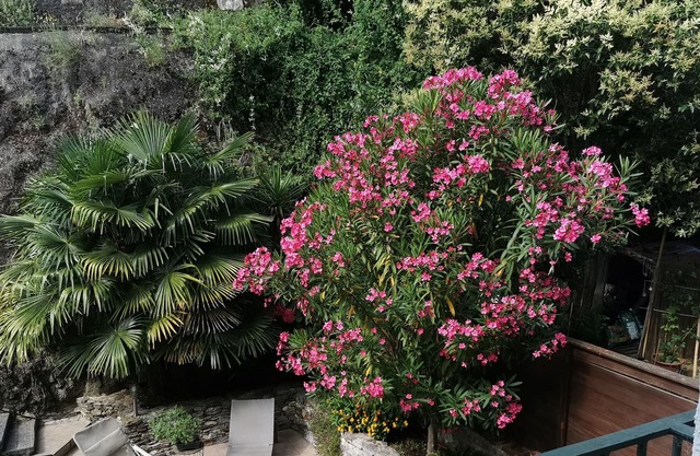 Studio Agréable et Confortable, Terrasse, Climatisation, Wi fi, Télé