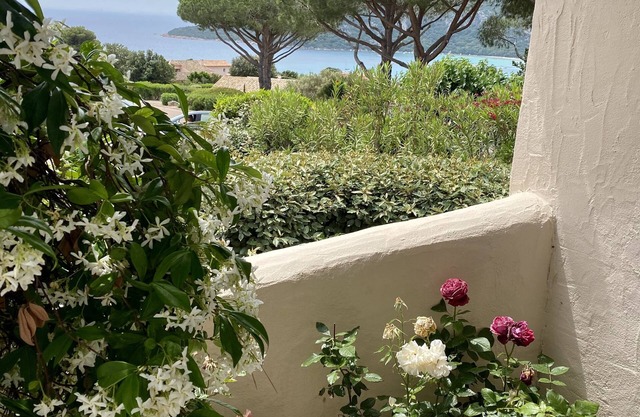 Studio sea view- with terrace- Pool access-Hotel Alivi- Marina di santa giulia