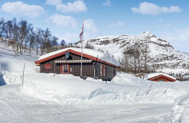 Stunning home in Tyinkrysset