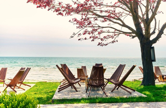Suite 215: Beautiful 2-Bedroom Beachfront Suite