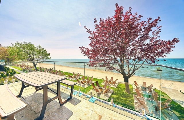 Suite 216: Beautiful 2-Bedroom Beachfront Suite