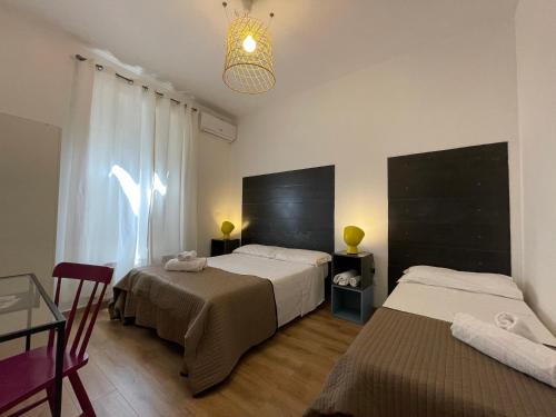 Suite Falisci