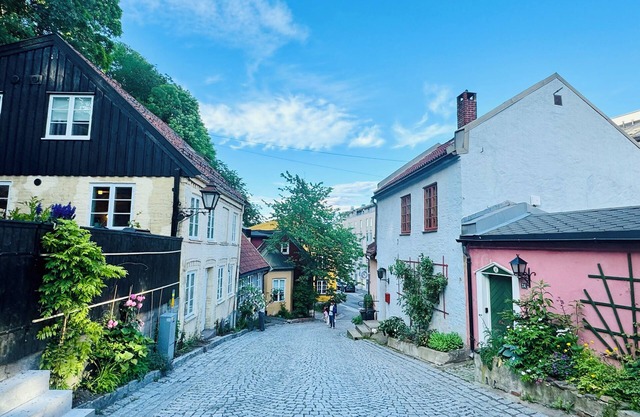 Summer Discount! Clean and Quiet n family- friendly apartment in Oslo city