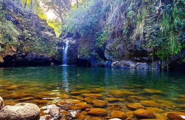 Sunrise Farm Retreat Cabin - Farm Stay Hawaii