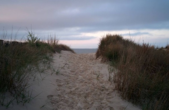Sunset Heaven