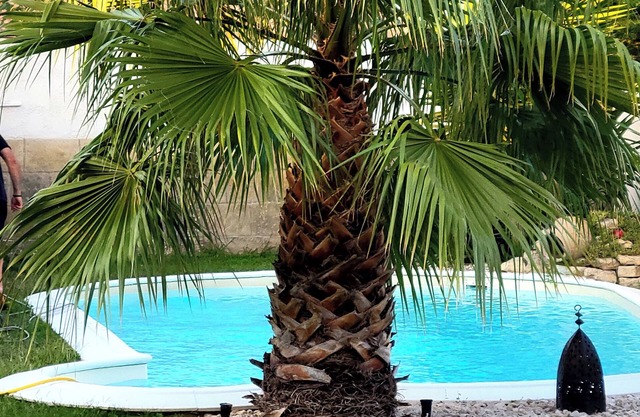 Superb, comfortable villa with swimming pool