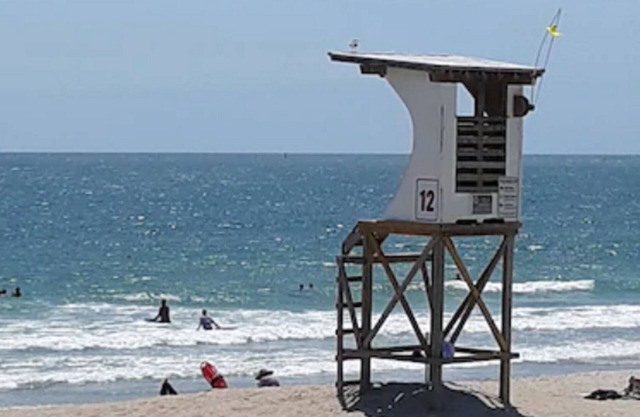 Surf Suites