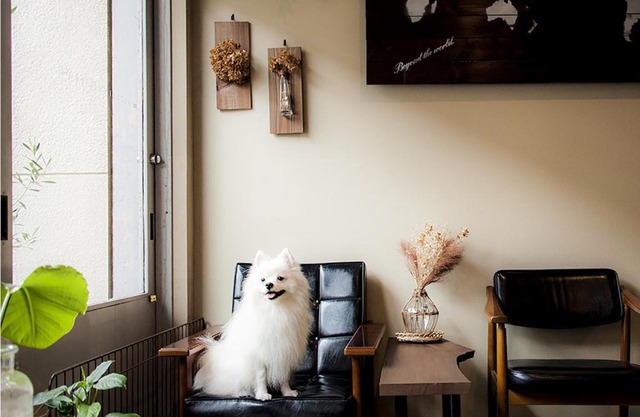 Suzuki Guesthouse