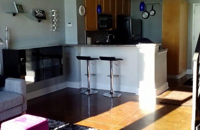 Swanky Loft Condo in Downtown CLT