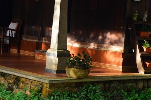 Swasthi Serviced Villa