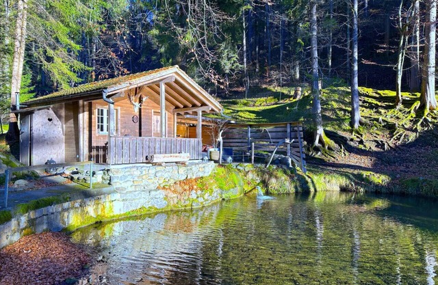 SwissHut Idyllic Farm Cabin - Chalet Grabenmühle 2