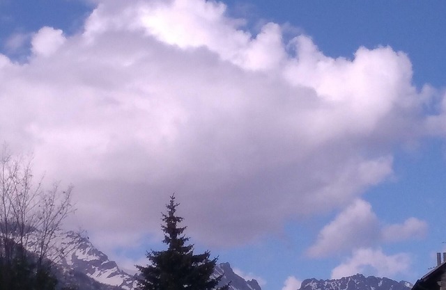 T2 charming cabin in the valley of Ubaye