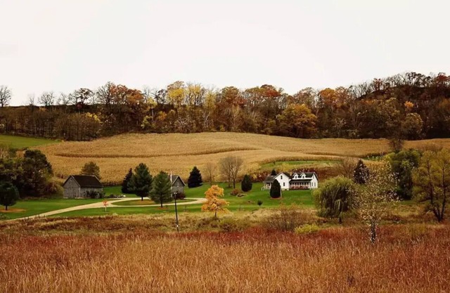 Tamarack Point Homestead