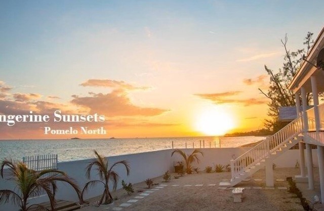 Tangerine Sunsets Pomelo North