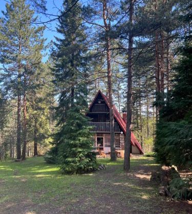 Tarushka house