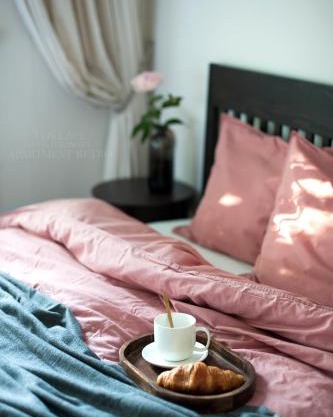 Teika No 2 Apartment-Retro on Brivibas street-free Parking