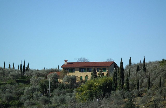 Tenuta Colsereno Palma. Relax in hilly Villa looking to the coast 6 km far.