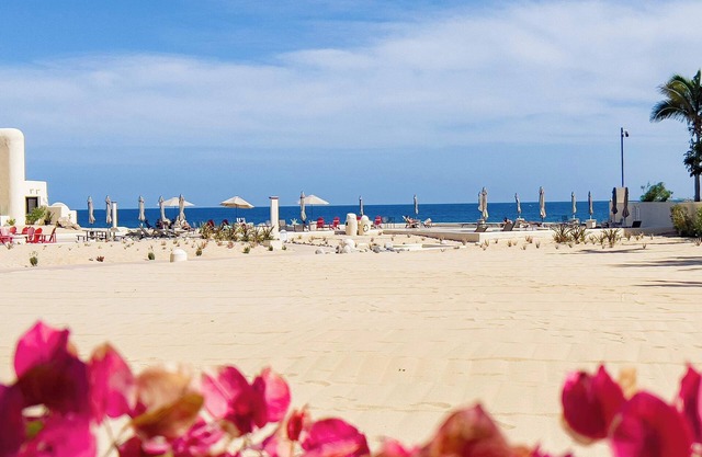 Terrasol Beach Resort Oceanview Condo, 2Pools, Gym