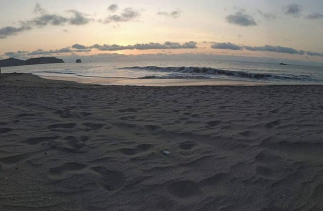 The Beach House