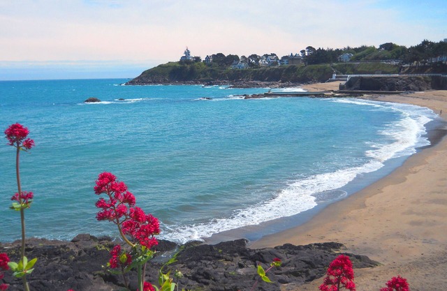 The big cypress - charming cottage in Brittany 500 m from the sea