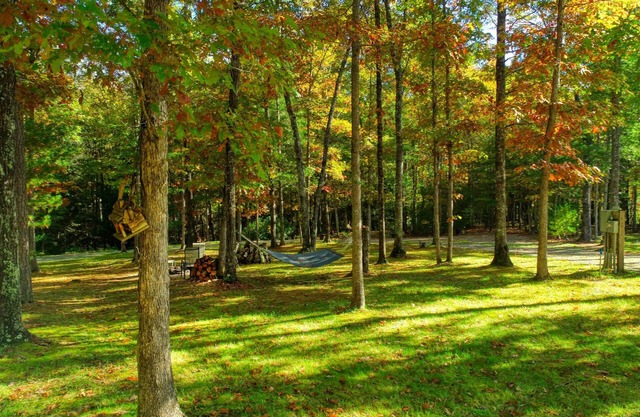 The Cabin at Crockett Creek