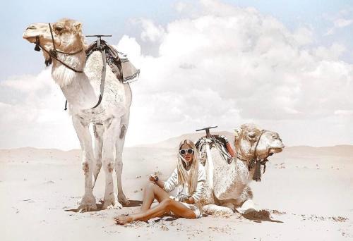 The Desert Palace