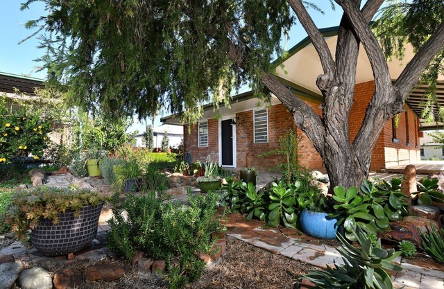 The Eagle's Nest - Adventure-Ready 4-Bedroom Holiday Home in Manilla, NSW
