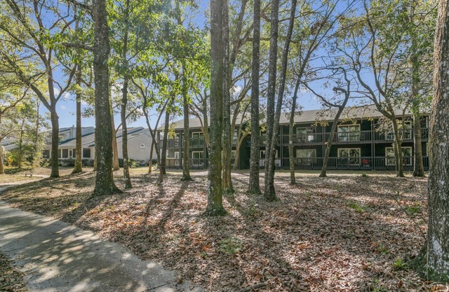 The Escape at the Ravines |King Studio w/Daybed |Full Kitchen |Dogs Ok |Screened Porch |Wooded Views