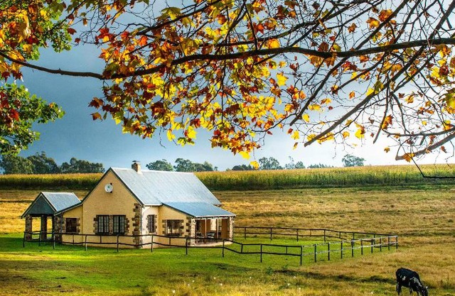 The FarSide Dam Cottage
