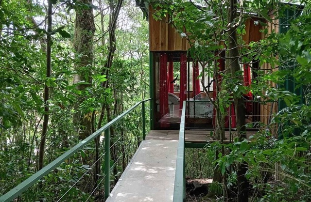 The Green Tree Lodge