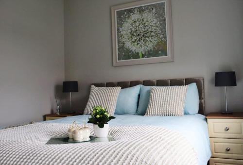 The Grey Door 2 Bed Cottage Banbridge Parking Private Garden