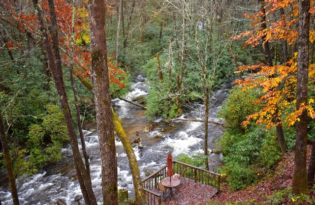 The Junction-backwoods tiny home on brook trout stream with mountain ridge view