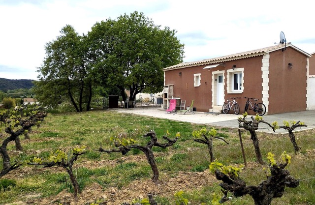 The Little House in the Vineyard