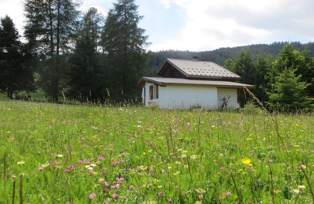 The Little House On The Prairie