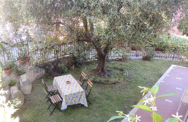 The Olive Tree House